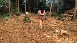 预览图6