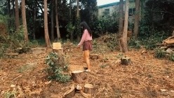 预览图10