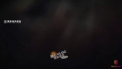 预览图6