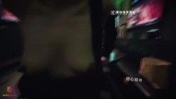 预览图12