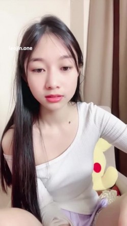 预览图4