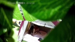 预览图4