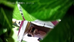 预览图5