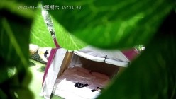 预览图7