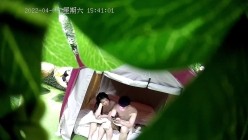 预览图8