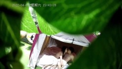 预览图9