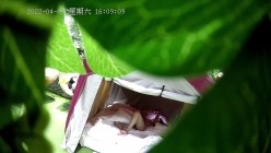 预览图11