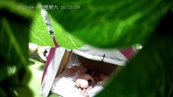 预览图12
