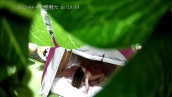 预览图13