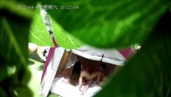 预览图14