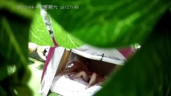 预览图15