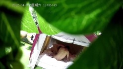 预览图16