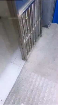 预览图6
