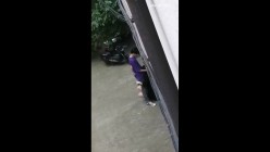 预览图7
