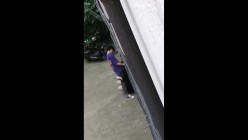 预览图8