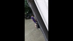 预览图10