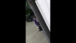 预览图12