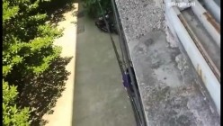 预览图13
