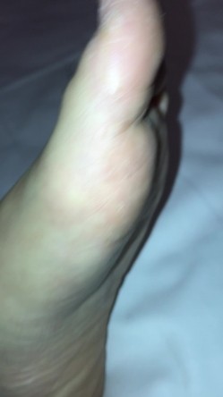 预览图14