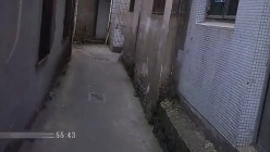 预览图1