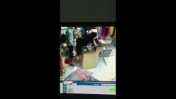 预览图5