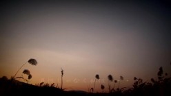 预览图16