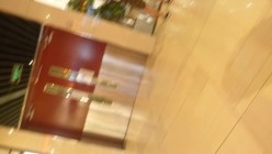 预览图14