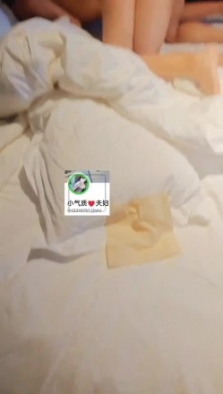预览图5