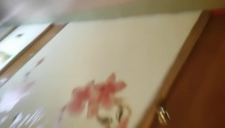 预览图13