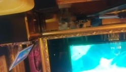 预览图5