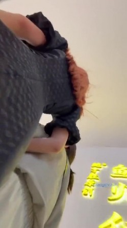 预览图12