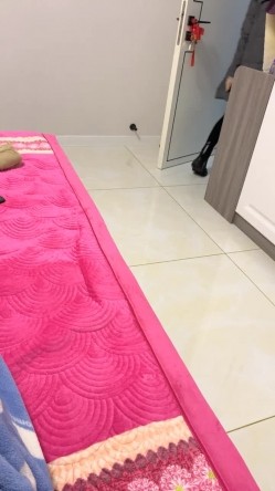 预览图5