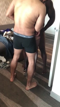 预览图5