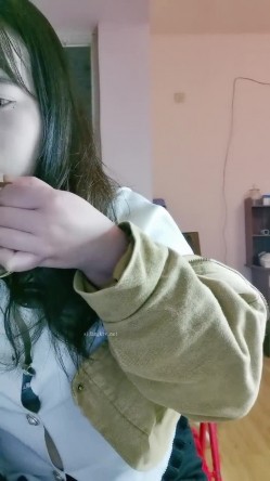 预览图2