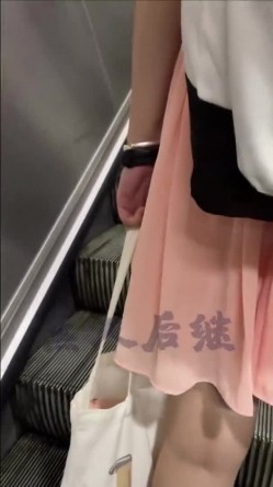 预览图4