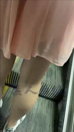 预览图6