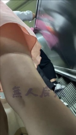 预览图13