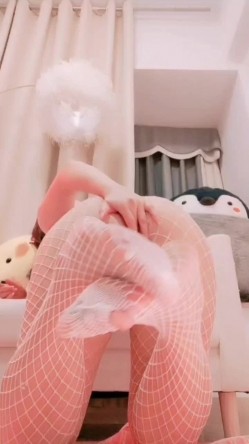 预览图12