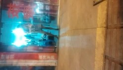 预览图5