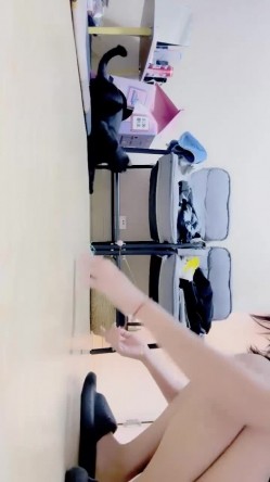 预览图5