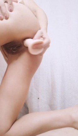 预览图5