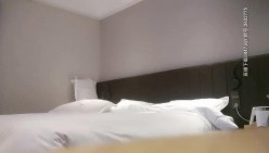 预览图4