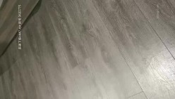 预览图16