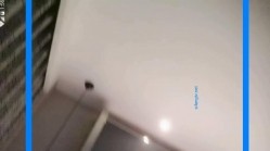 预览图12