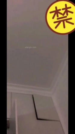 预览图12