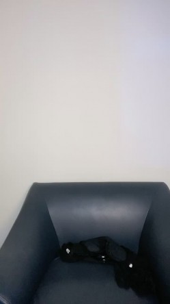 预览图4