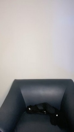 预览图5