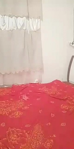 预览图14
