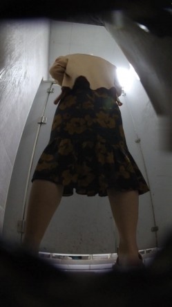 预览图11