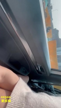 预览图8